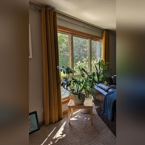 Curtarra velvet blackout curtains, 65" width, 104" length. 2 panels.